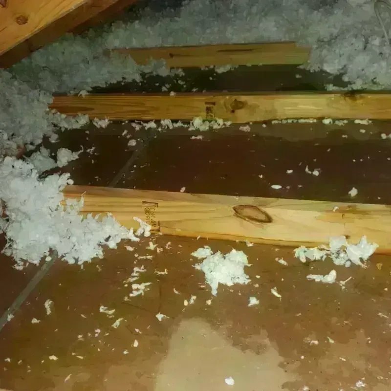 Attic Water Damage in Walker County, AL