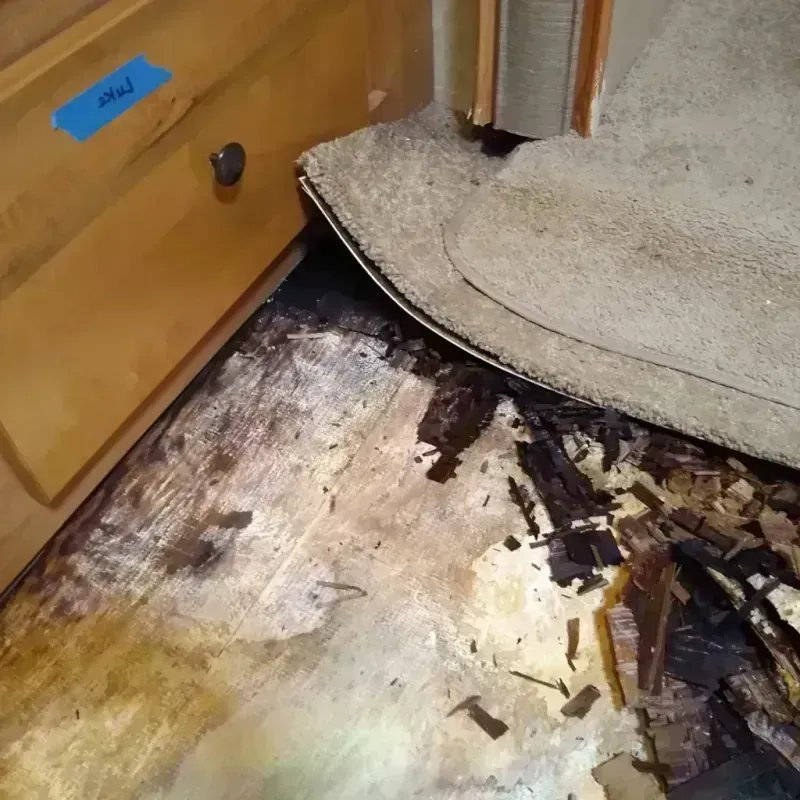 Best Wood Floor Water Damage Service in Walker County, AL